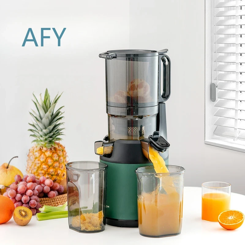 220V Slow Juicer Cold Press Ex - đánh giá và giá Electric Slow Juicer Cold Press