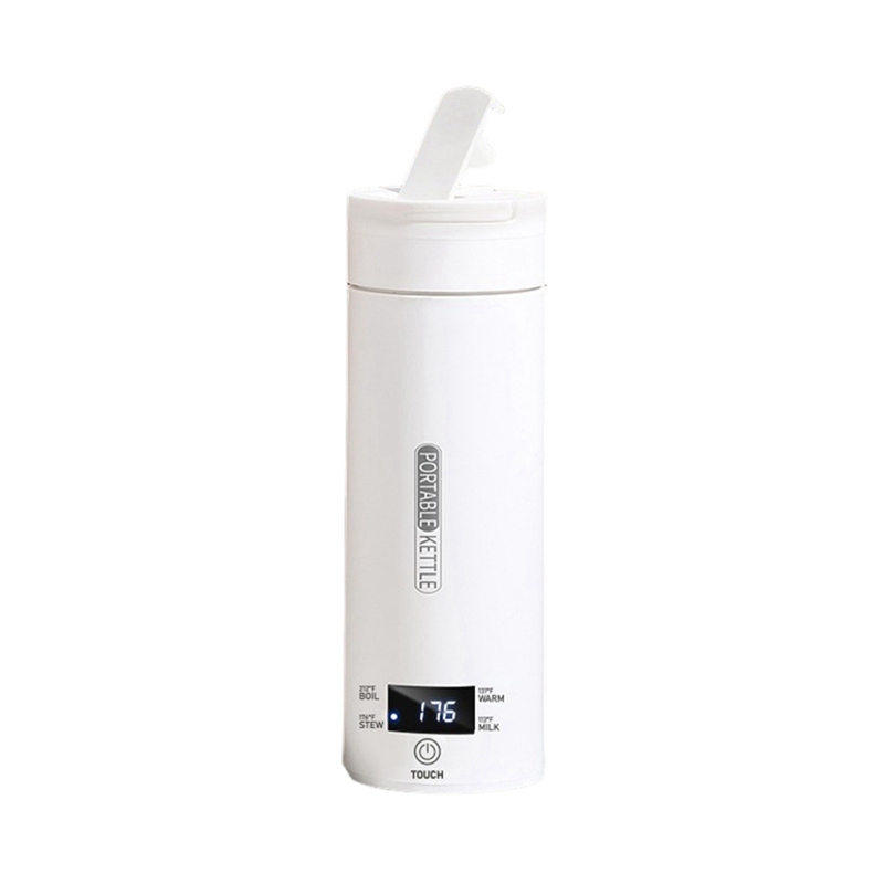 DT39 Portable Travel Electric  - đánh giá và giá Electric Kettle Temperature Control