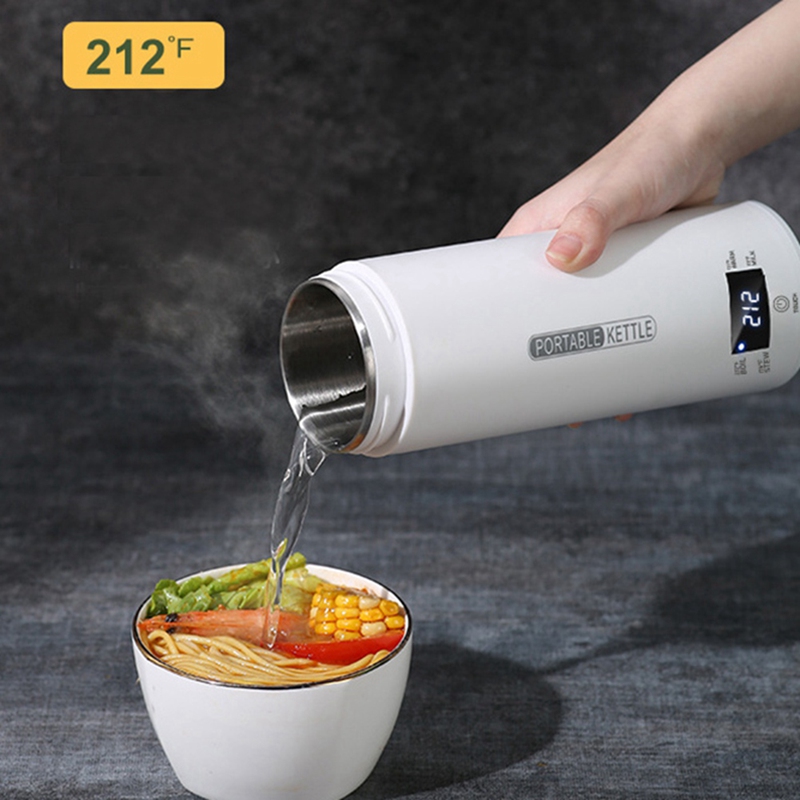 DT39 Portable Travel Electric  - đánh giá và giá Electric Kettle Temperature Control